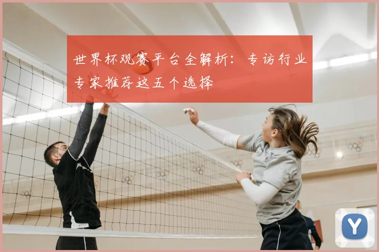 世界杯观赛平台全解析:专访行业专家推荐这五个选择