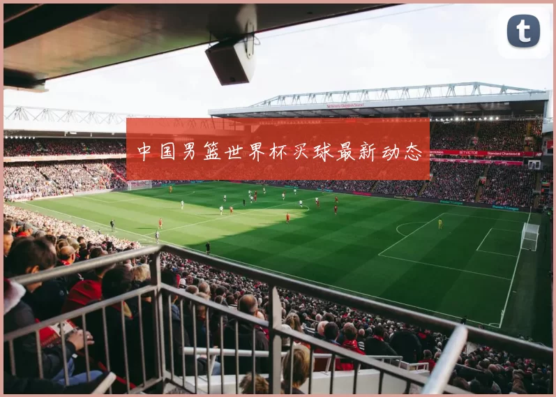 中国男篮世界杯买球最新动态