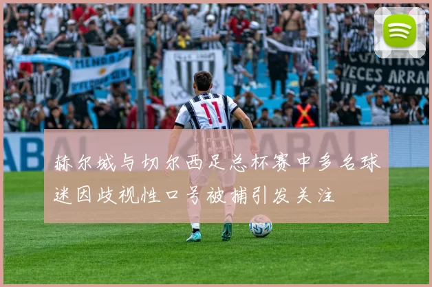 赫尔城与切尔西足总杯赛中多名球迷因歧视性口号被捕引发关注