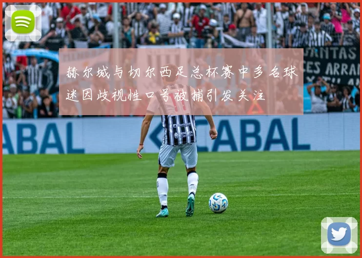 赫尔城与切尔西足总杯赛中多名球迷因歧视性口号被捕引发关注