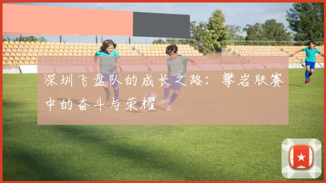 深圳飞盘队的成长之路：攀岩联赛中的奋斗与荣耀