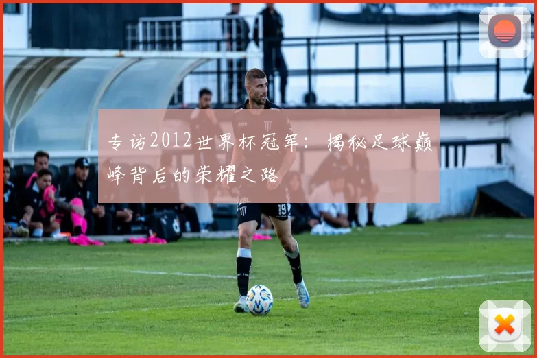 专访2012世界杯冠军：揭秘足球巅峰背后的荣耀之路