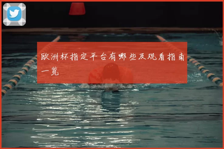 欧洲杯指定平台有哪些及观看指南一览