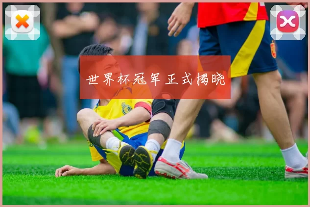 世界杯冠军正式揭晓