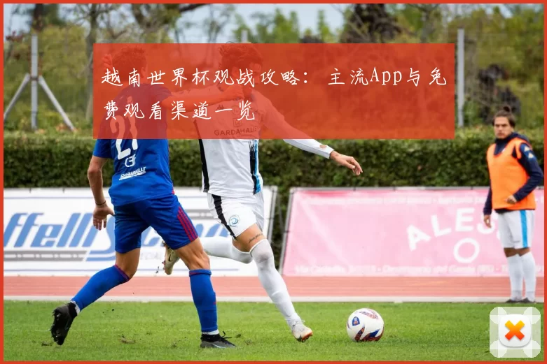 越南世界杯观战攻略：主流App与免费观看渠道一览