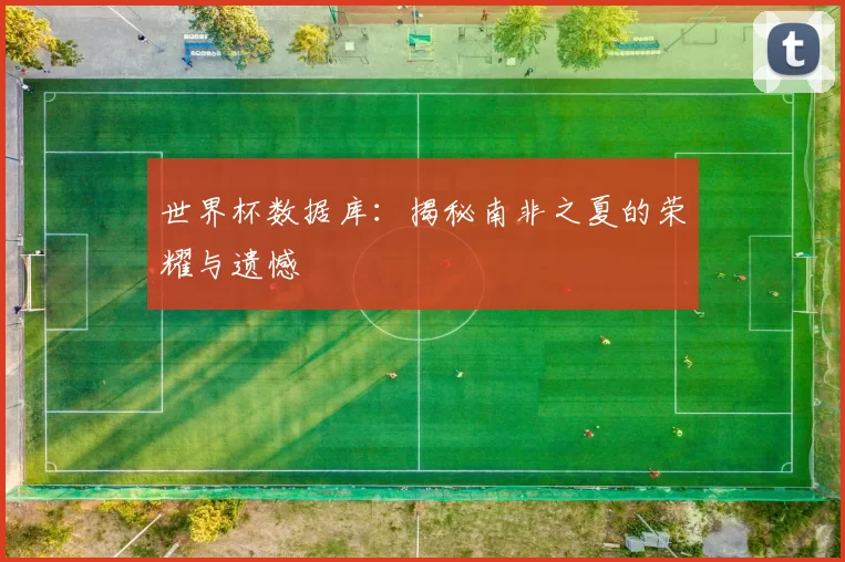 世界杯数据库：揭秘南非之夏的荣耀与遗憾
