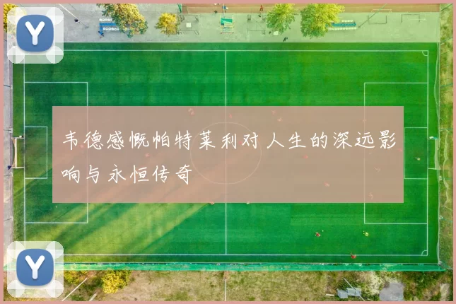 韦德感慨帕特莱利对人生的深远影响与永恒传奇