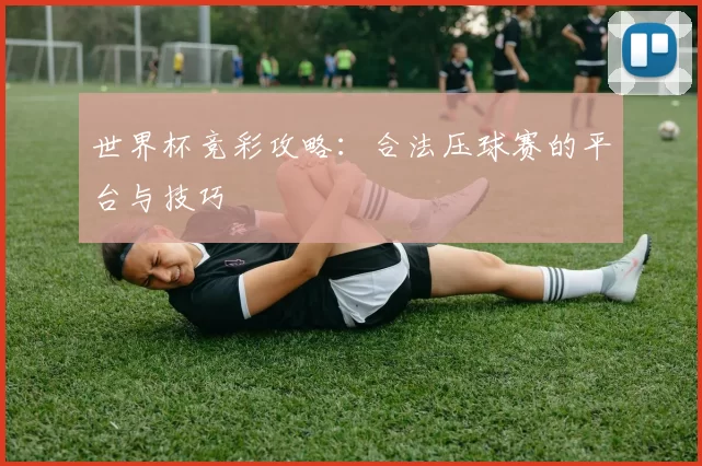 世界杯竞彩攻略:合法压球赛的平台与技巧