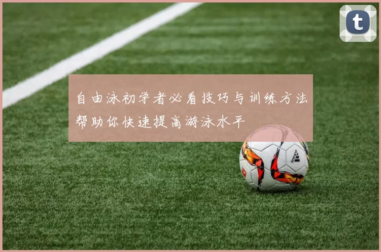 自由泳初学者必看技巧与训练方法帮助你快速提高游泳水平