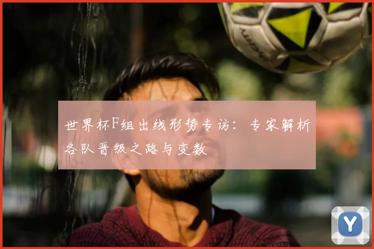 世界杯F组出线形势专访：专家解析各队晋级之路与变数