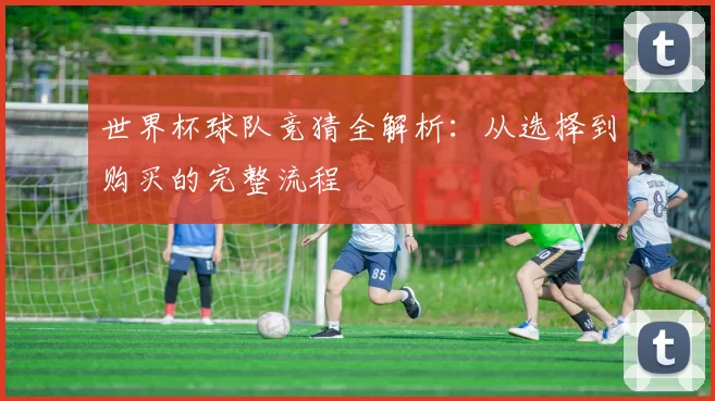 世界杯球队竞猜全解析：从选择到购买的完整流程
