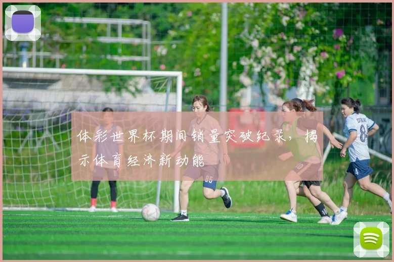 体彩世界杯期间销量突破纪录,揭示体育经济新动能