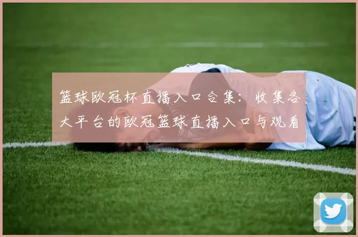 篮球欧冠杯直播入口合集：收集各大平台的欧冠篮球直播入口与观看方式
