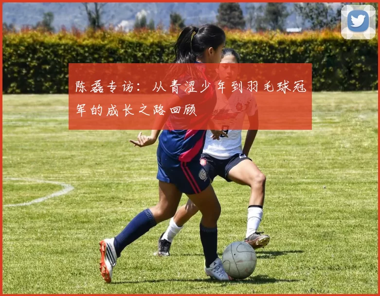陈磊专访:从青涩少年到羽毛球冠军的成长之路回顾